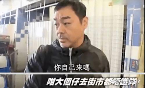 娱乐吃瓜群众明星有哪些