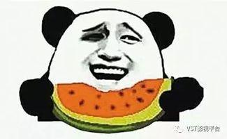 娱乐吃瓜君 猴哥,娱乐吃瓜君揭秘猴界风云