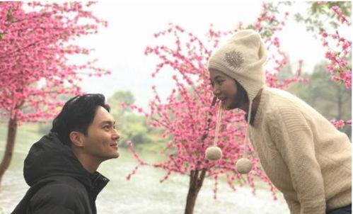 娱乐圈心声吃瓜,揭秘明星背后的真实故事