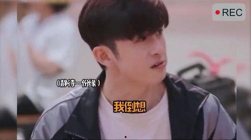 吃瓜吃到自己身上了娱乐圈,娱乐圈明星自食其果的尴尬瞬间