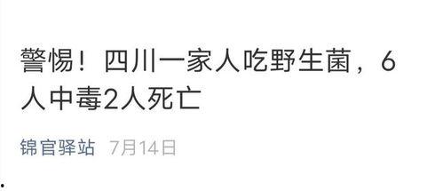 娱乐吃瓜酱野生字幕菌,揭秘幕后花絮，带你领略影视圈真实一面