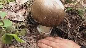 娱乐吃瓜酱野生字幕菌,揭秘幕后花絮，带你领略影视圈真实一面